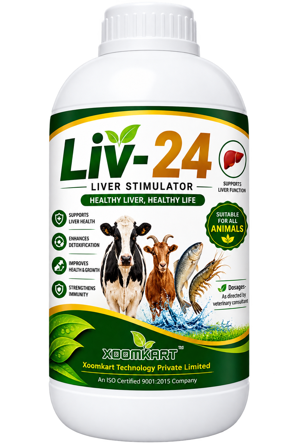 Liv-24